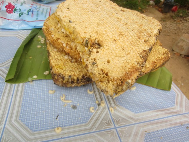 Grilled Bug Larvae Grilled Bug Larvae