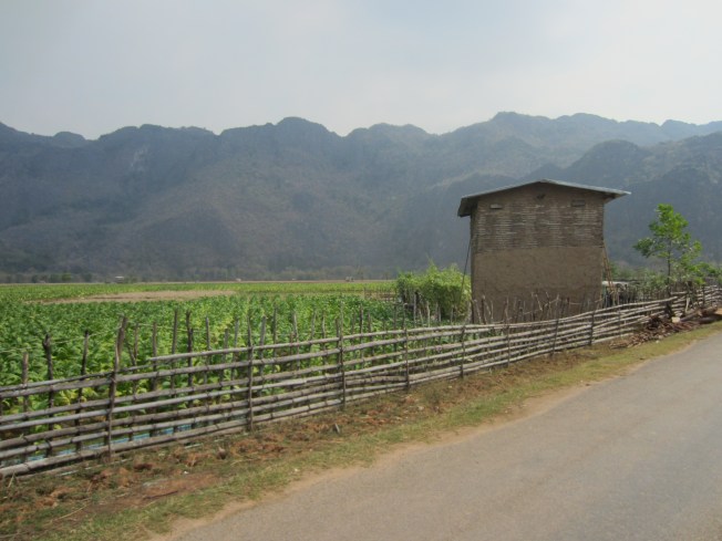 Kong Lo Cave Village Kong Lo Cave Village