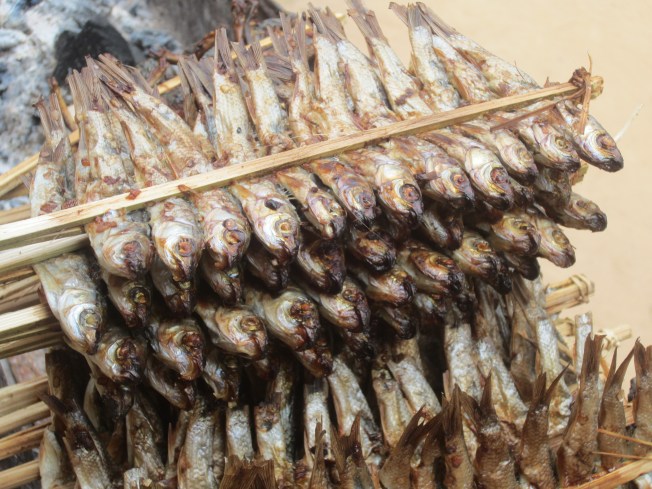 Little Fish on a Stick Little Fish on a Stick