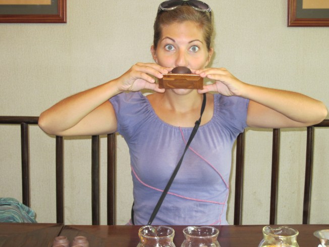 Tea Tasting at the China National Tea Museum