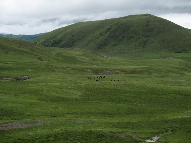 Tagong Grasslands