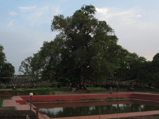 The pool where Buddha's mother is said to have bathed before giving birth