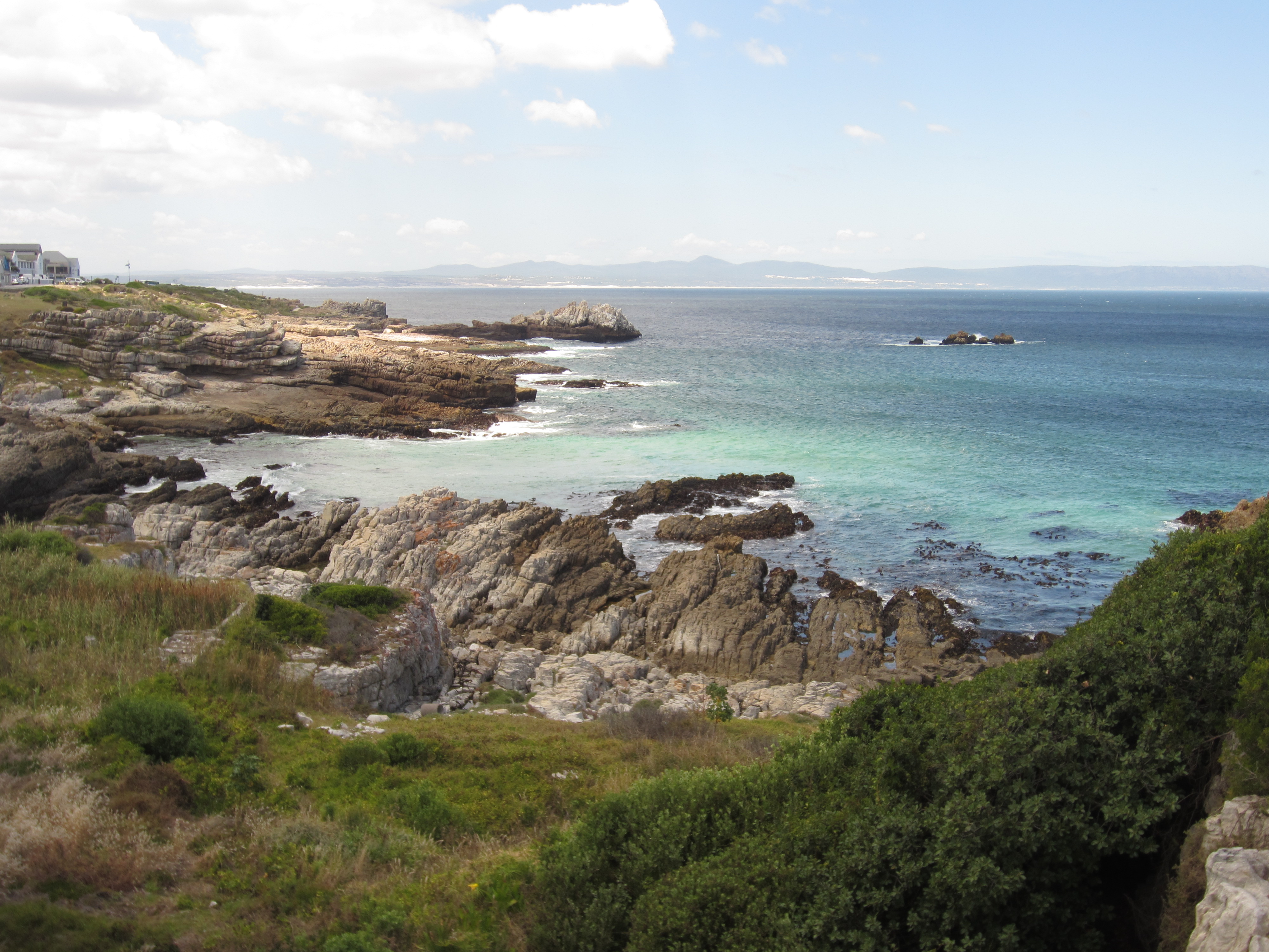 An Ode to Hermanus – My Favorite Mistake | Erica in Wonderland