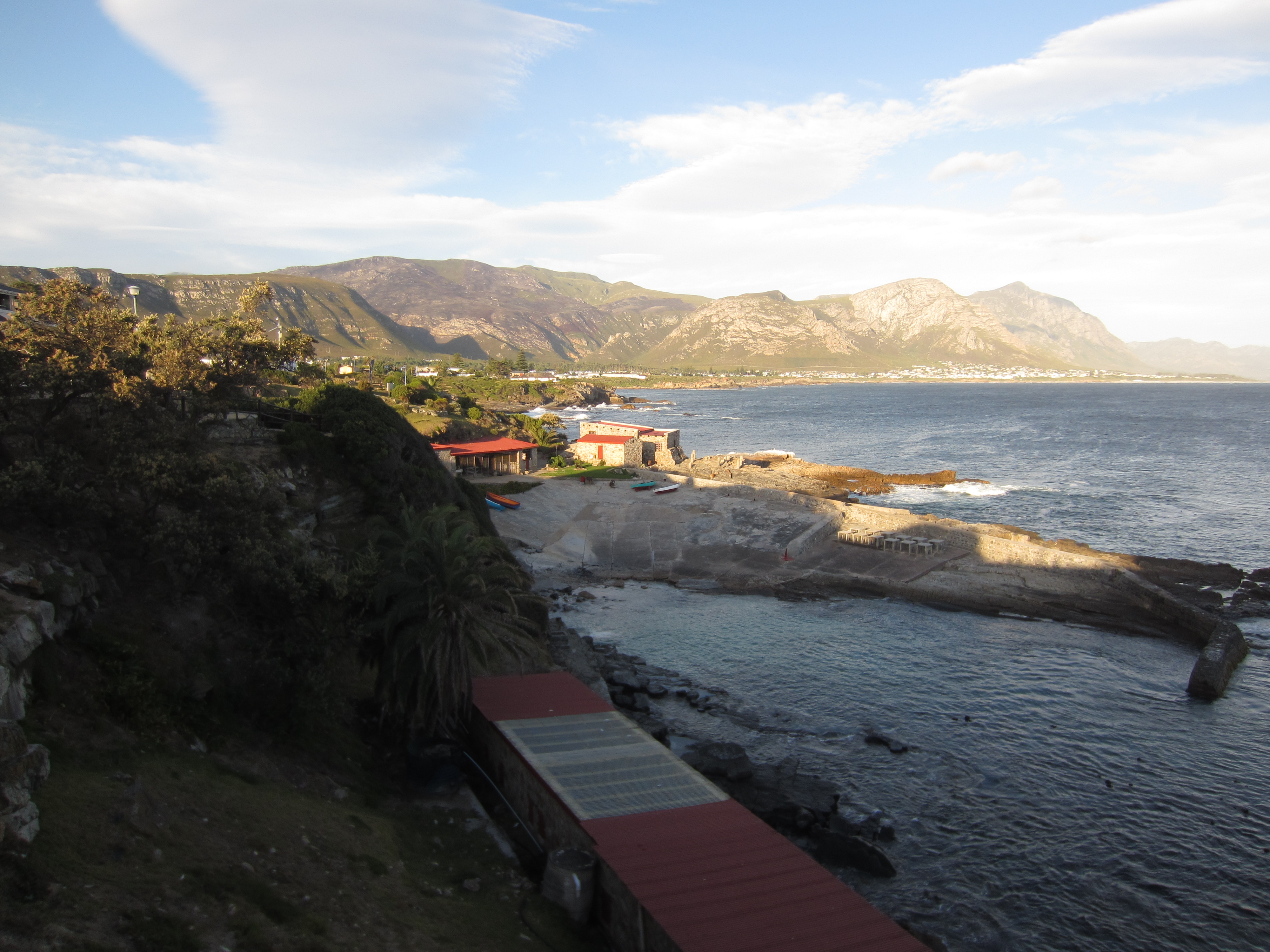 An Ode to Hermanus – My Favorite Mistake | Erica in Wonderland