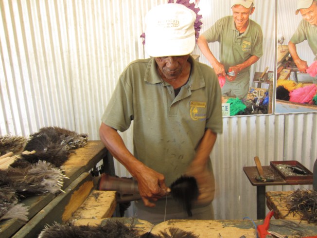 Ostrich feather duster
